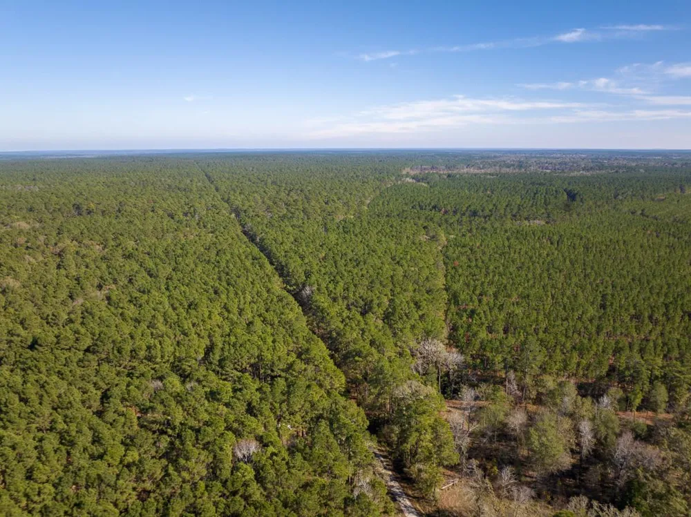 Forest Service Road 527 Apple Springs, TX 75926