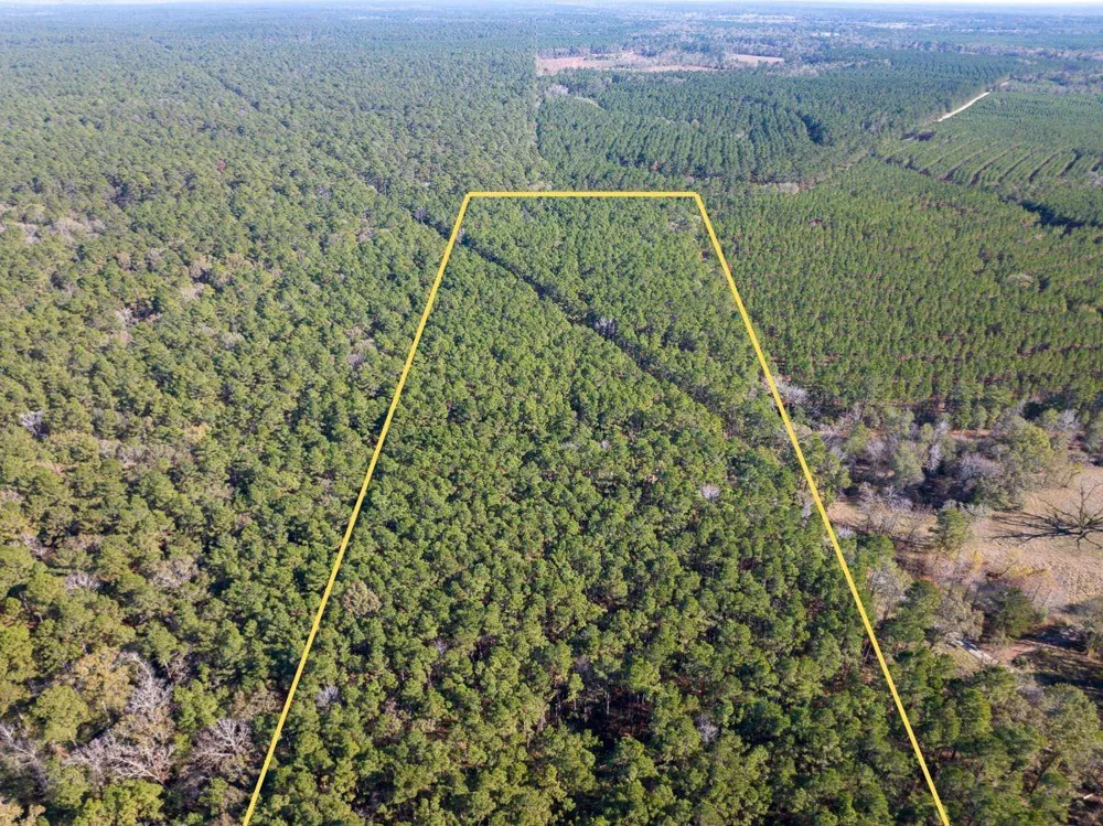 Forest Service Road 527 Apple Springs, TX 75926