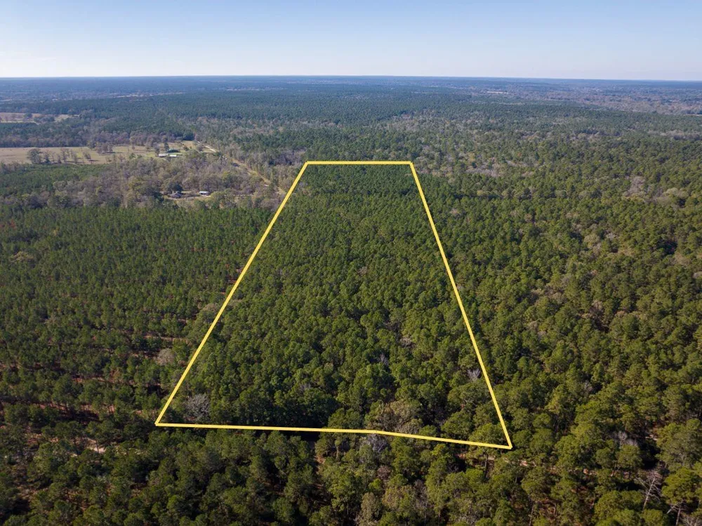 Forest Service Road 527 Apple Springs, TX 75926