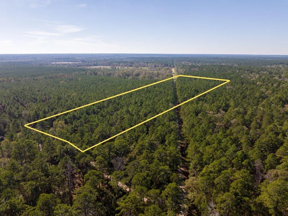 Forest Service Road 527 Apple Springs, TX 75926