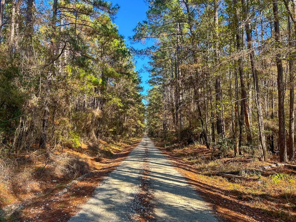 Forest Service Road 527 Apple Springs, TX 75926