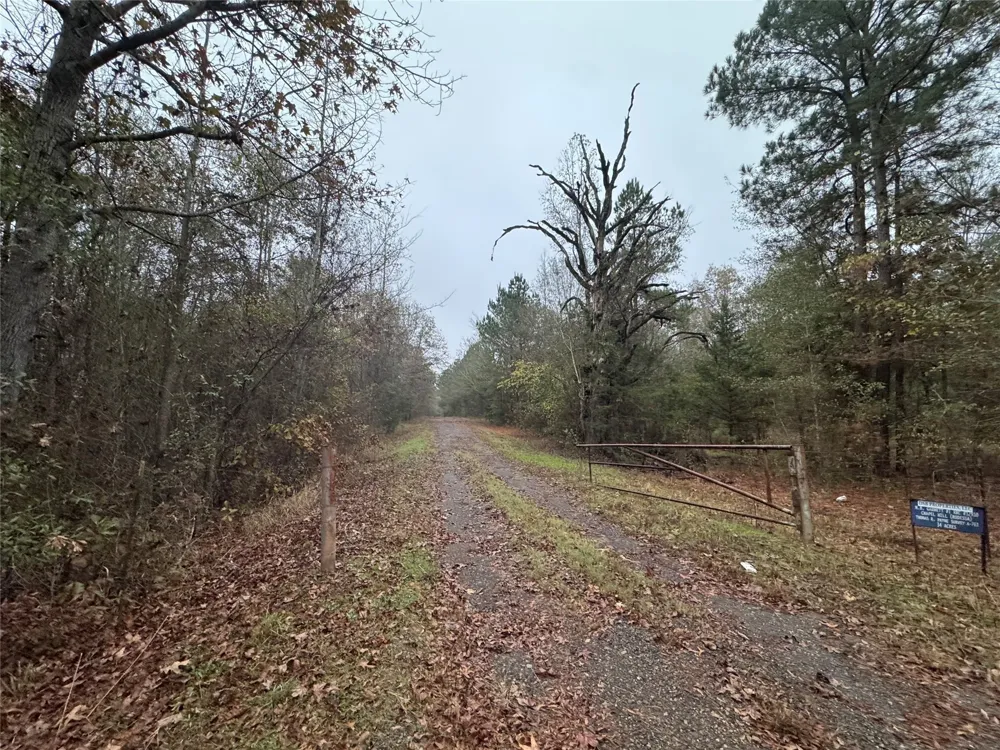 6229 County Rd 21 Tyler, TX 75707