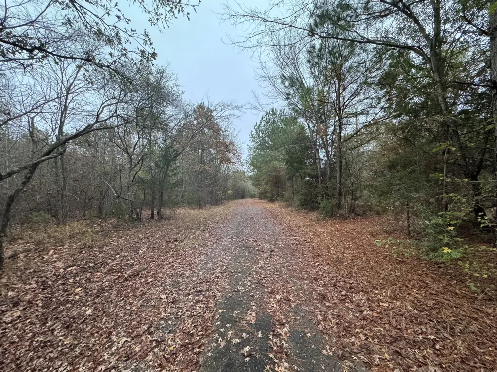 6229 County Rd 21 Tyler, TX 75707