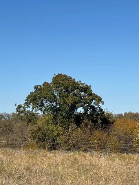 124 Donald Road Krum, TX 76249