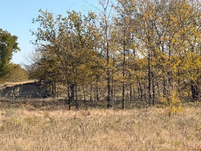 124 Donald Road Krum, TX 76249