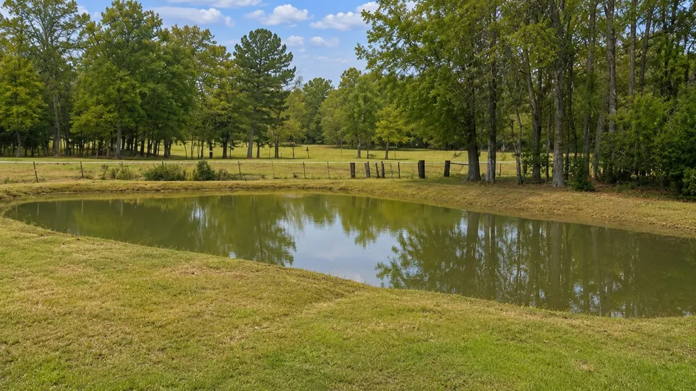 2050 W State Highway 64 Highway Ben Wheeler, TX 75754