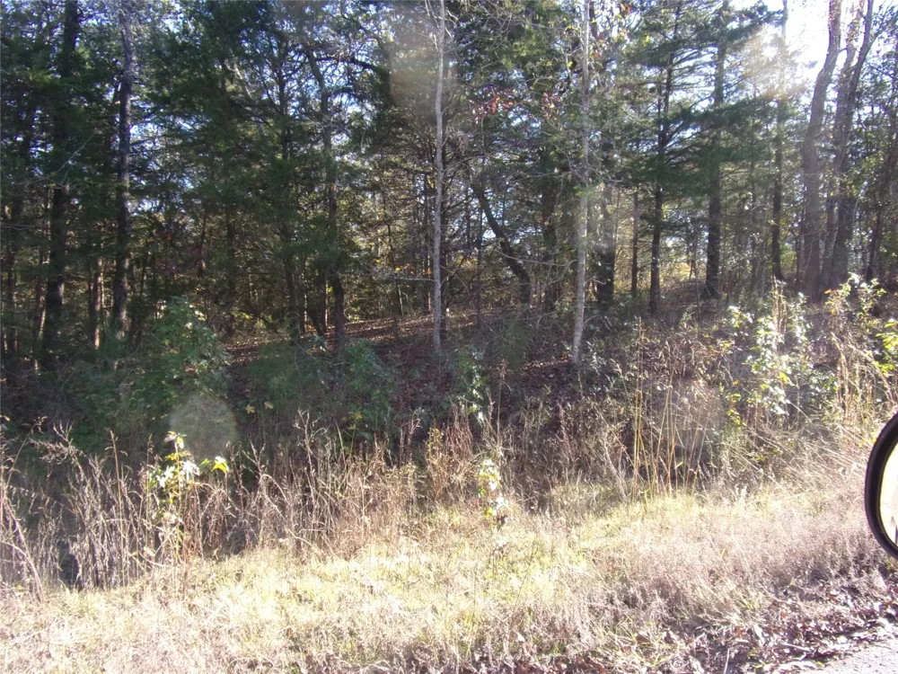Woodcreek Drive Murchison, TX 75778