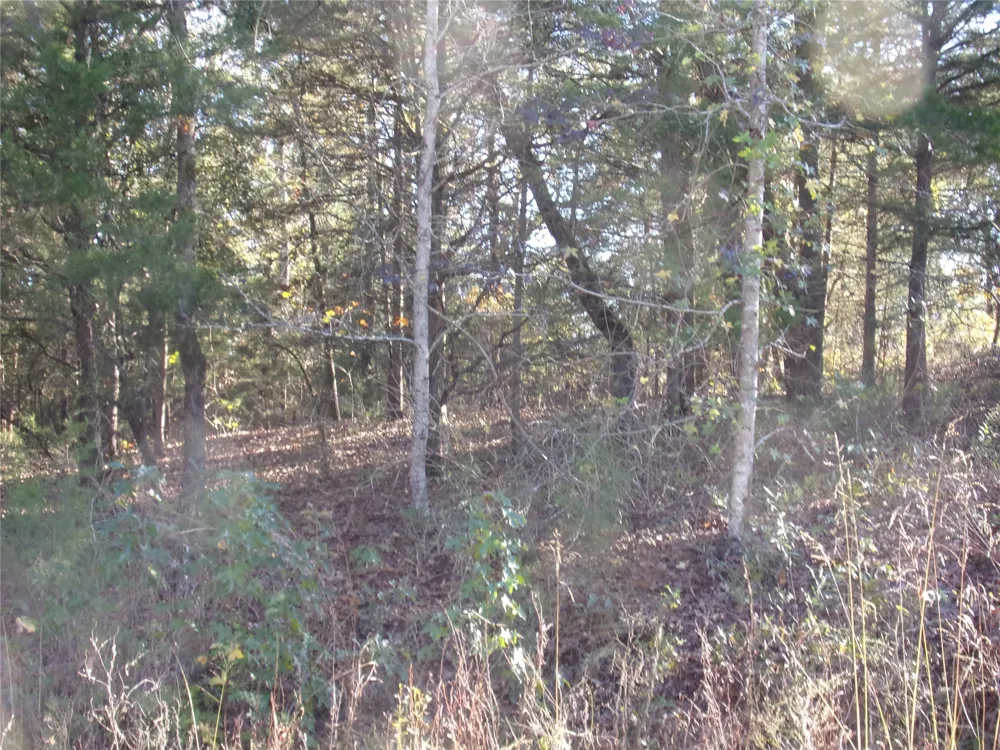 Woodcreek Drive Murchison, TX 75778