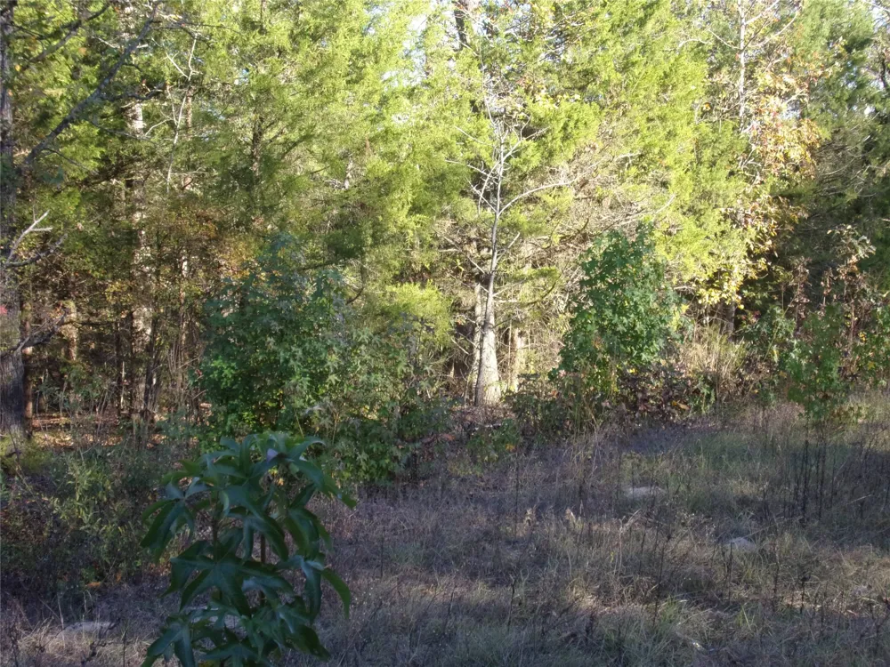 Woodcreek Drive Murchison, TX 75778