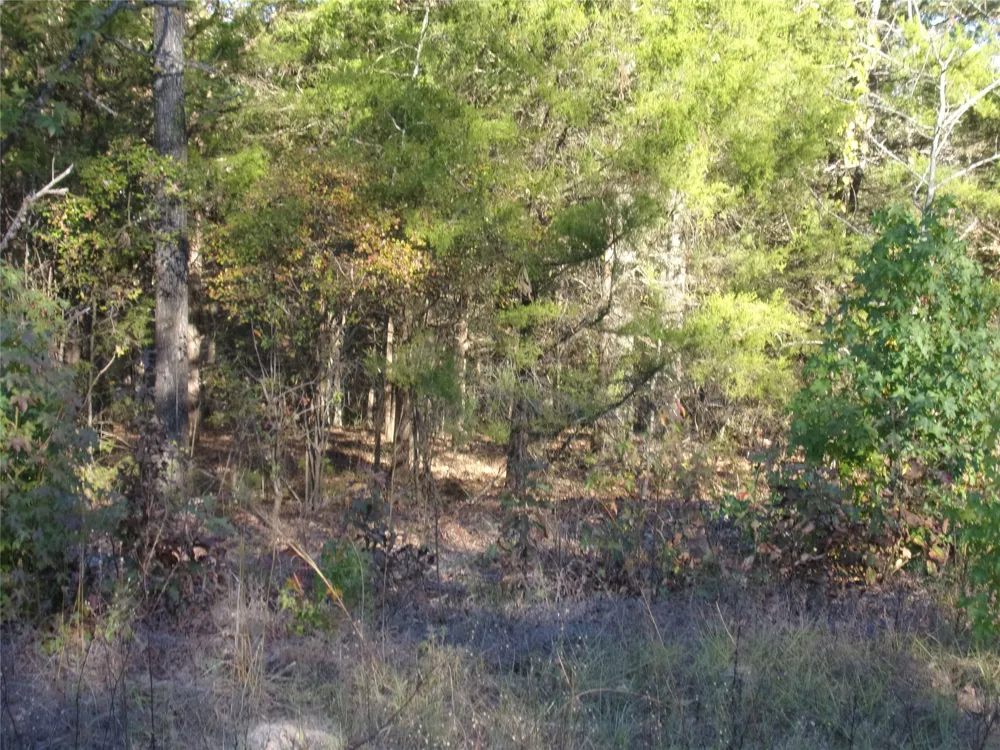 Woodcreek Drive Murchison, TX 75778