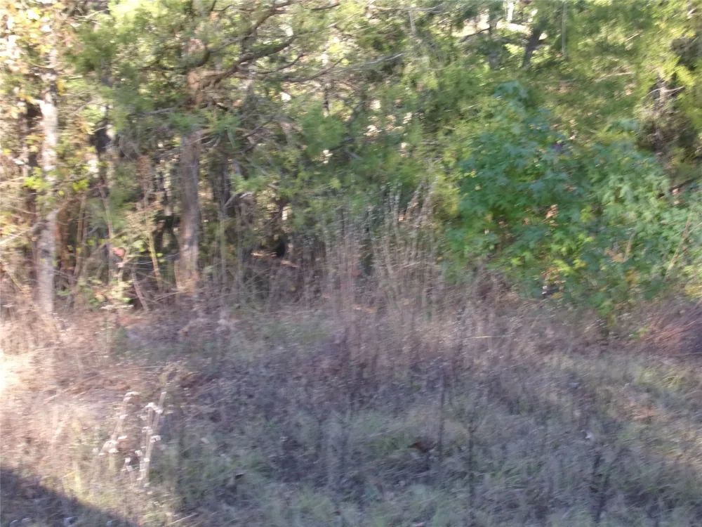 Woodcreek Drive Murchison, TX 75778