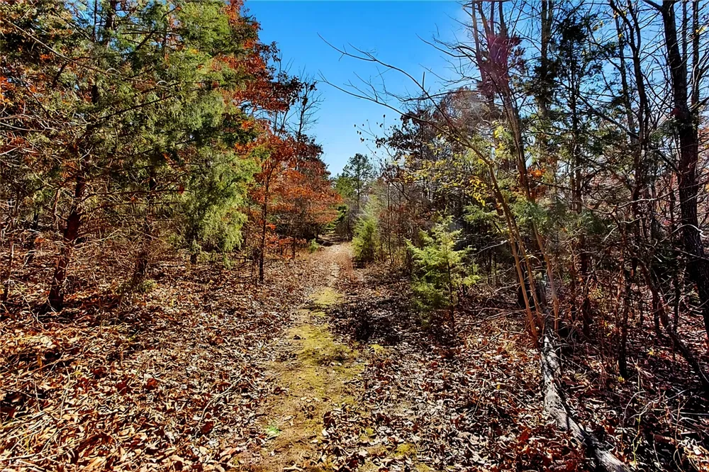 520 County Road 36980 Arthur City, TX 75411