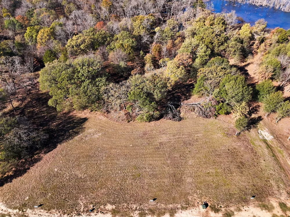 245 Shoreline Drive Dodd City, TX 75438