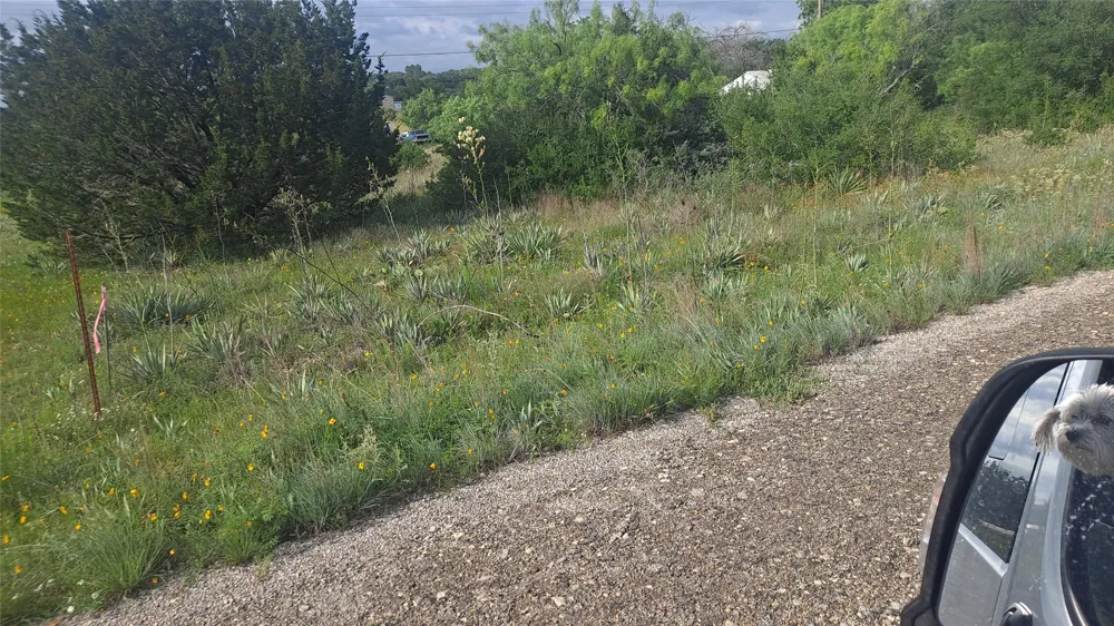 Donegal Drive Brownwood, TX 76801