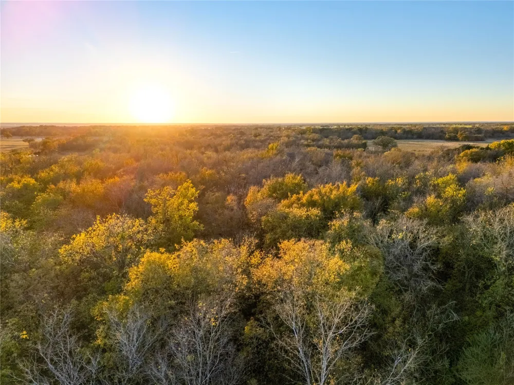 14 Hwy 6 Highway Reagan, TX 76680