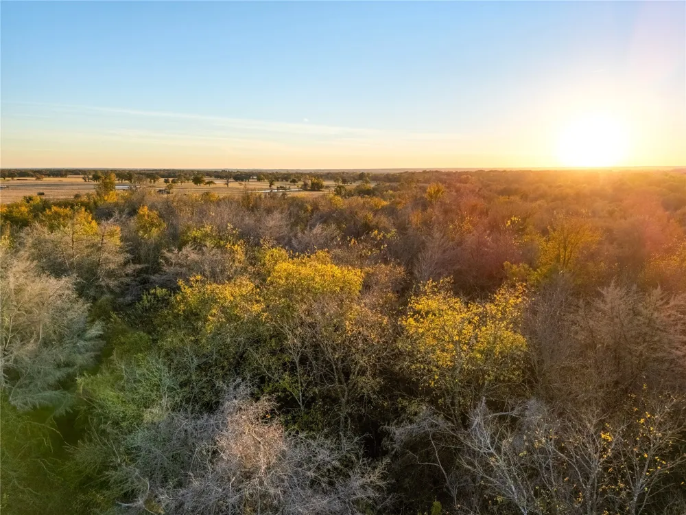 14 Hwy 6 Highway Reagan, TX 76680