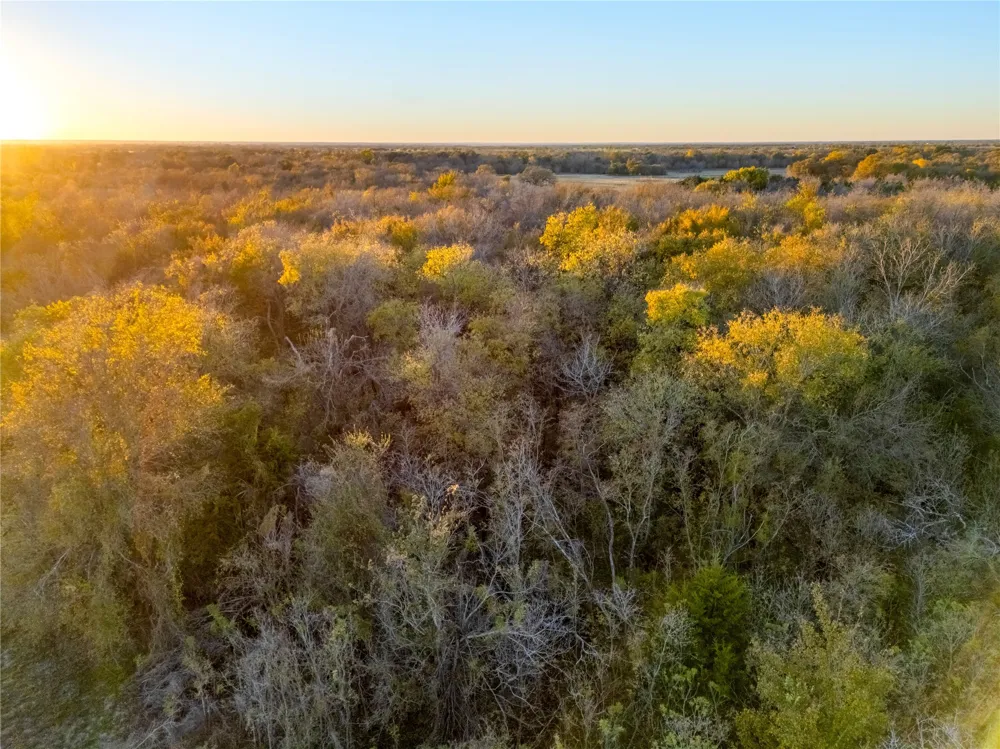 14 Hwy 6 Highway Reagan, TX 76680