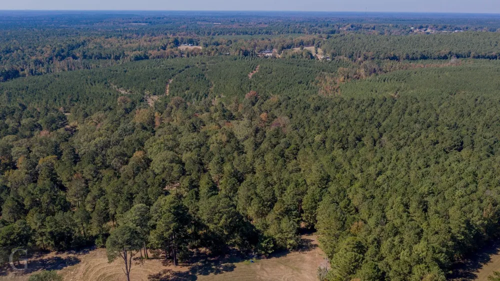 Hwy 159 Highway Minden, LA 71055