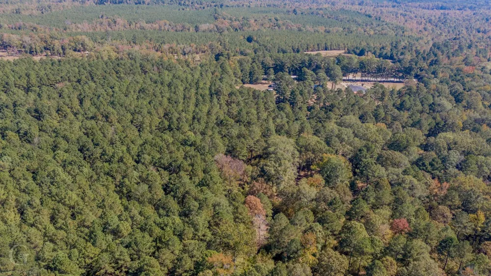 Hwy 159 Highway Minden, LA 71055