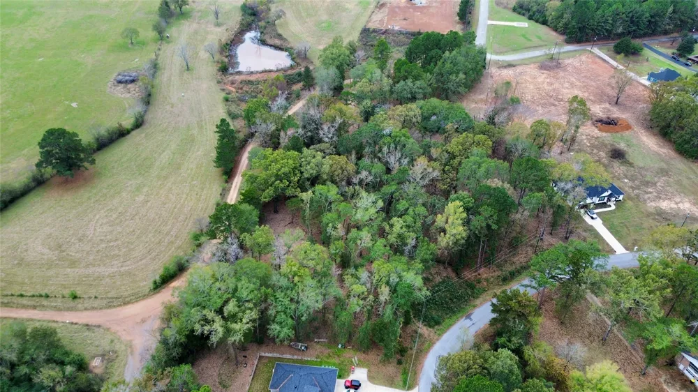 Cardinal Troup, TX 75789