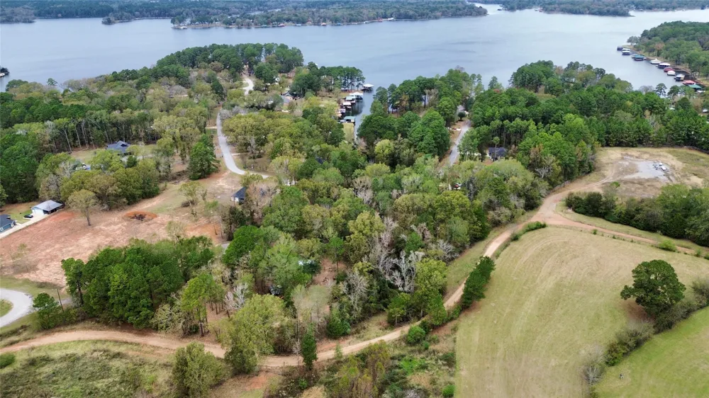Cardinal Troup, TX 75789