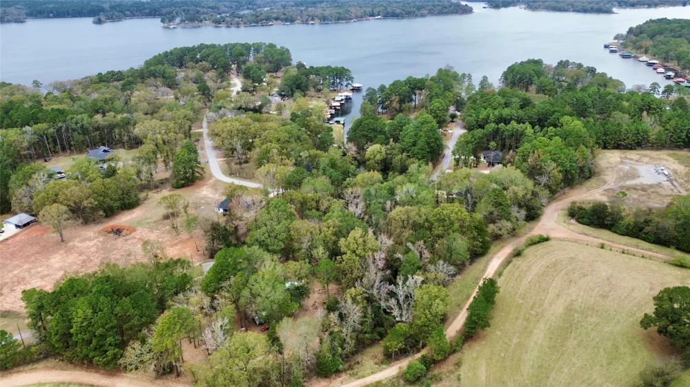 Cardinal Troup, TX 75789