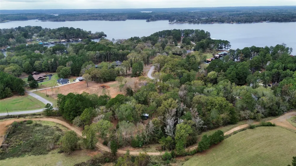 Cardinal Troup, TX 75789