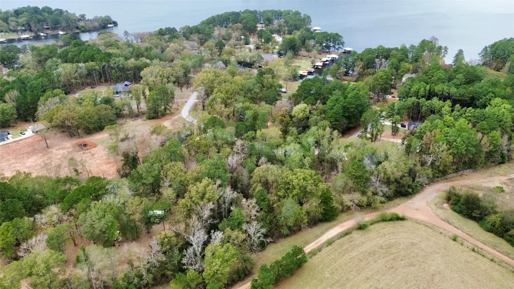 Cardinal Troup, TX 75789