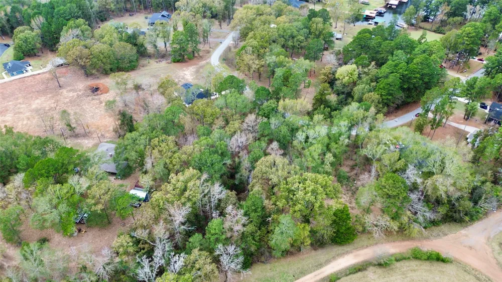 Cardinal Troup, TX 75789