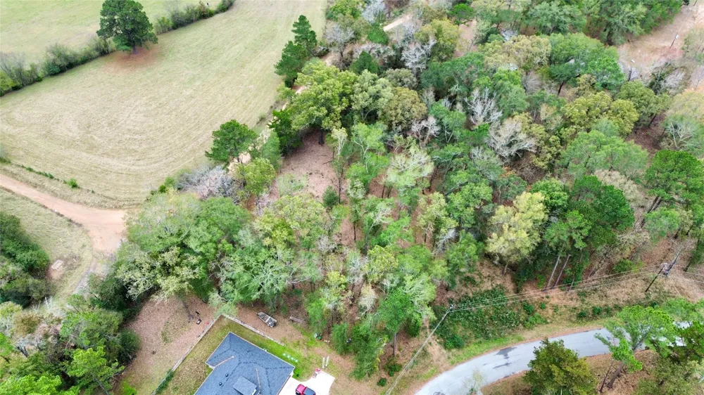 Cardinal Troup, TX 75789