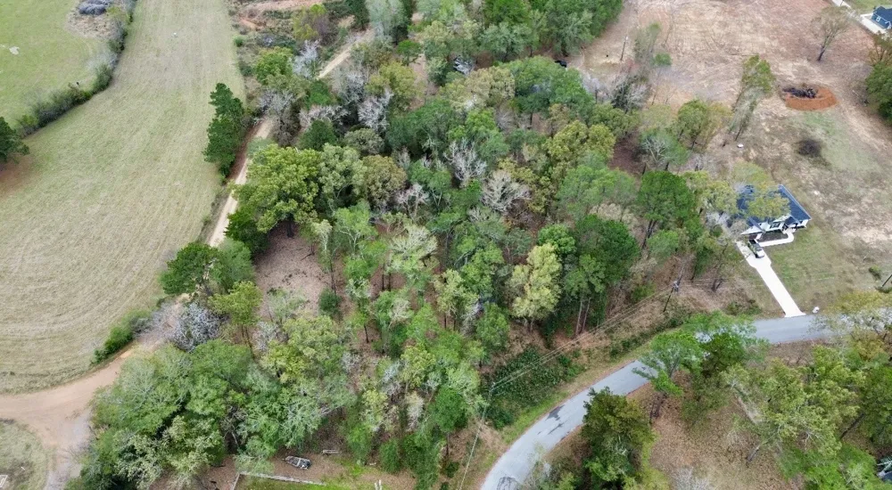 Cardinal Troup, TX 75789