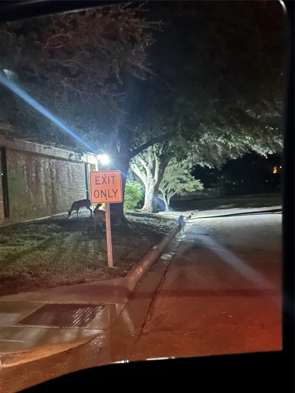 513 Myra Lou Avenue Copperas Cove, TX 76522
