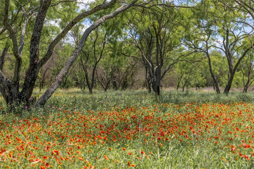 8548 County Road 332 Blanket, TX 76432