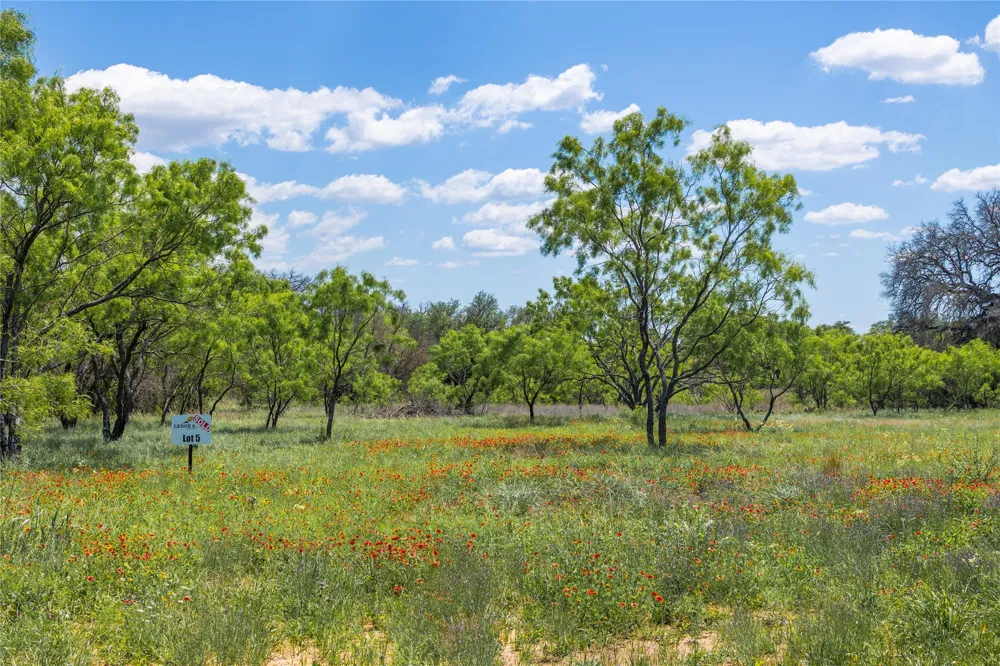8548 County Road 332 Blanket, TX 76432