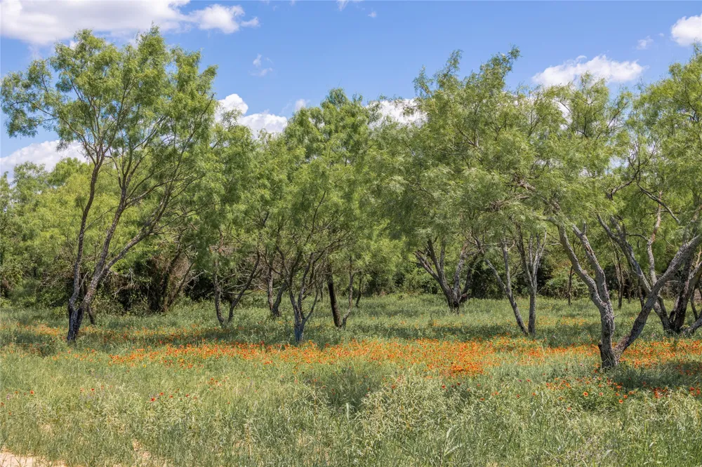 8548 County Road 332 Blanket, TX 76432