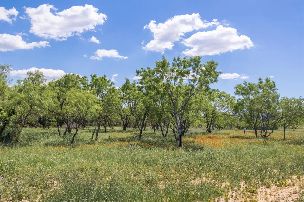 8548 County Road 332 Blanket, TX 76432