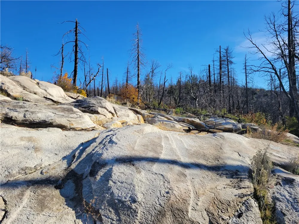 161 Shadow Creek Road Berry Creek, CA 95916
