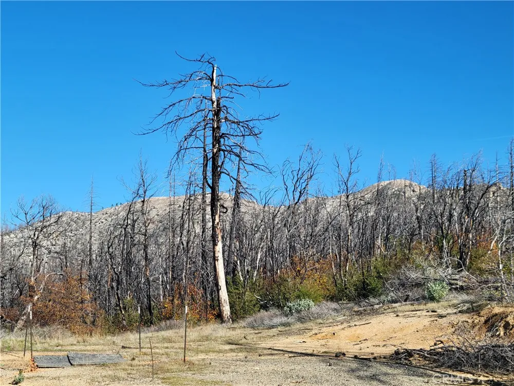 161 Shadow Creek Road Berry Creek, CA 95916