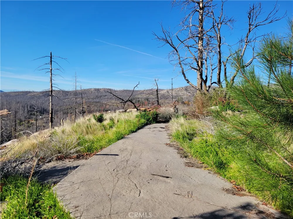 161 Shadow Creek Road Berry Creek, CA 95916