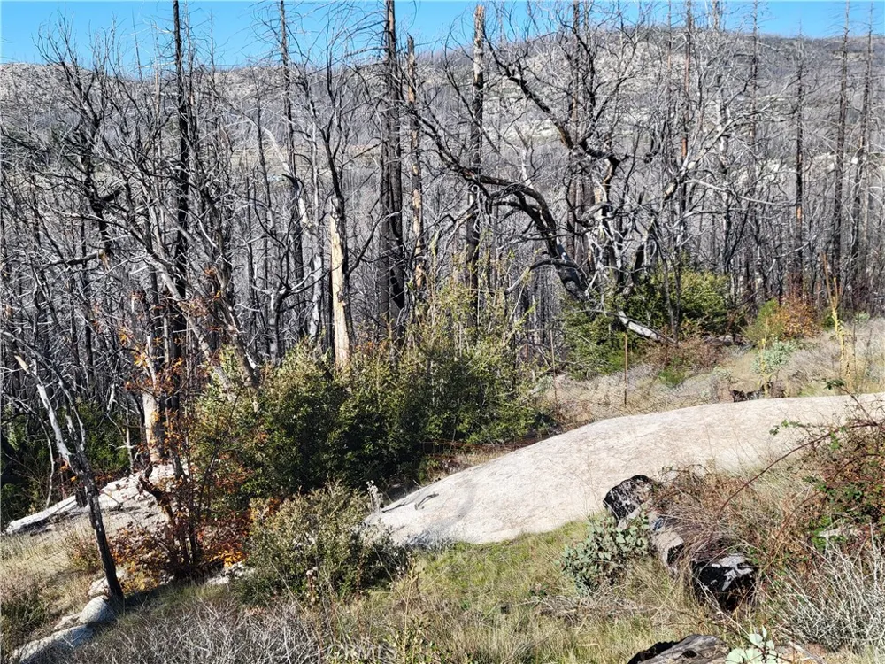 161 Shadow Creek Road Berry Creek, CA 95916