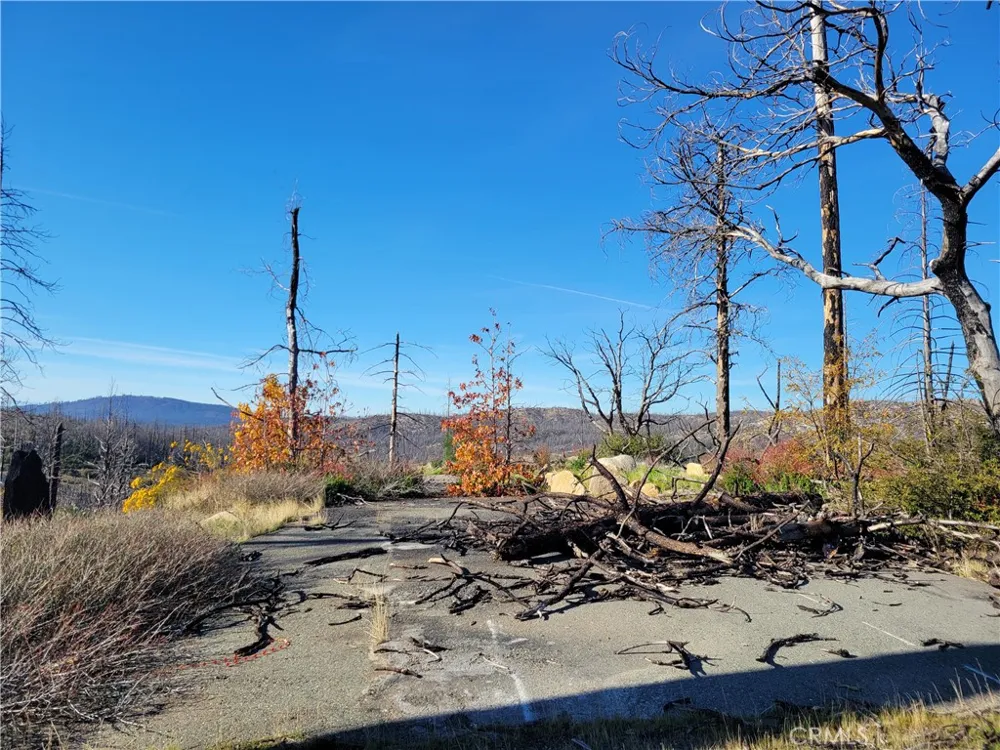 161 Shadow Creek Road Berry Creek, CA 95916