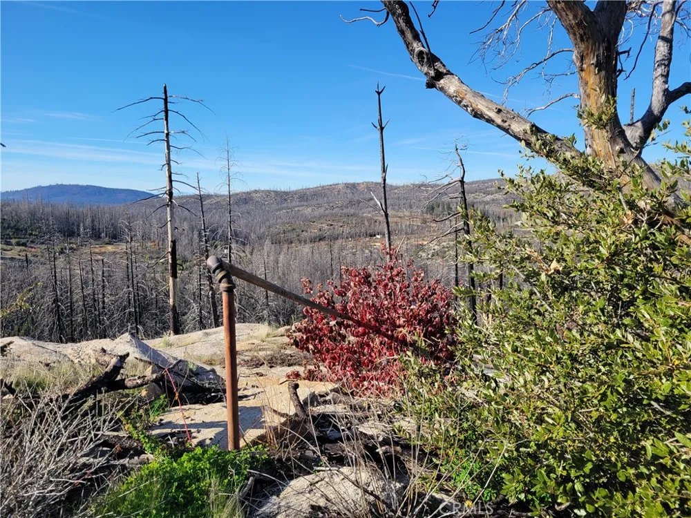 161 Shadow Creek Road Berry Creek, CA 95916