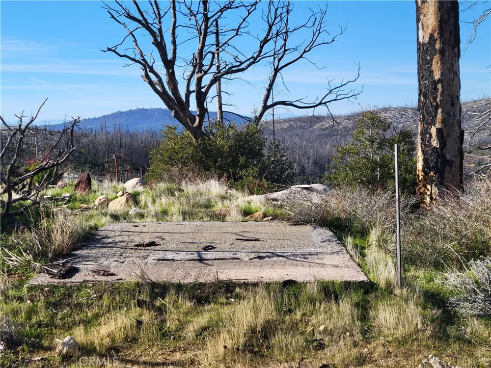 161 Shadow Creek Road Berry Creek, CA 95916