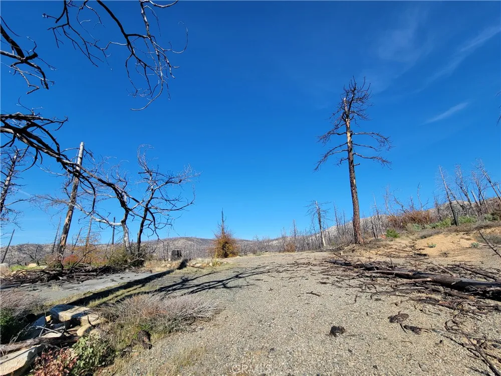 161 Shadow Creek Road Berry Creek, CA 95916
