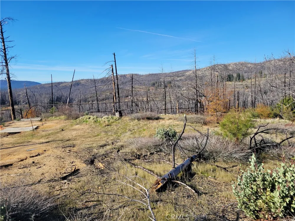 161 Shadow Creek Road Berry Creek, CA 95916