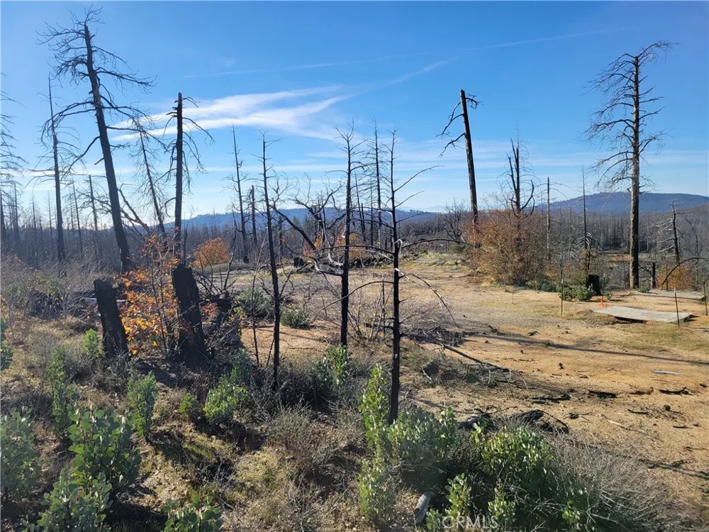 161 Shadow Creek Road Berry Creek, CA 95916
