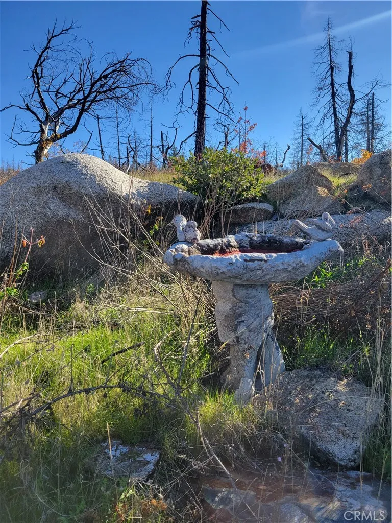 161 Shadow Creek Road Berry Creek, CA 95916