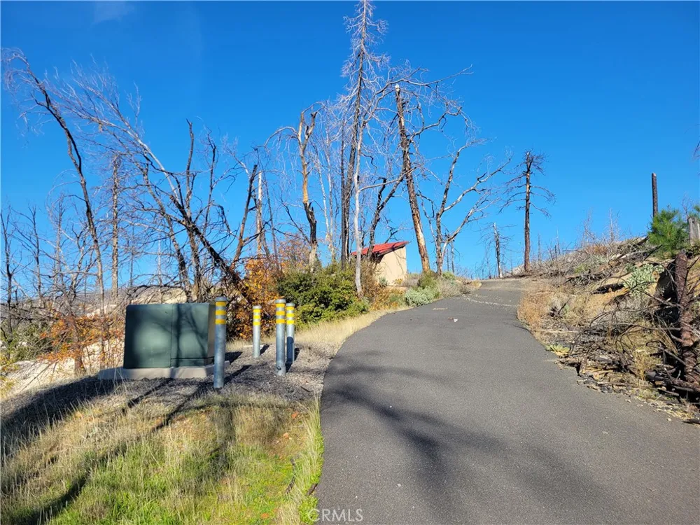161 Shadow Creek Road Berry Creek, CA 95916