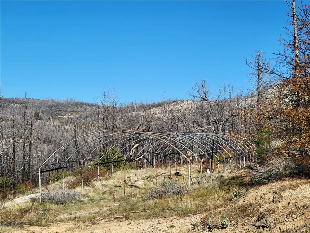 161 Shadow Creek Road Berry Creek, CA 95916