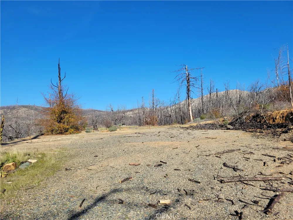 161 Shadow Creek Road Berry Creek, CA 95916
